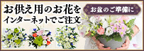�t�����[�M�t�g