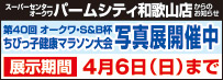 WEB`V