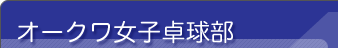 �I�[�N�����q�싅��