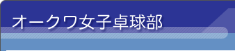 �I�[�N�����q�싅��