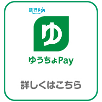 䂤Pay