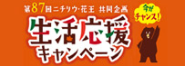 87j`EEԉuLy[v