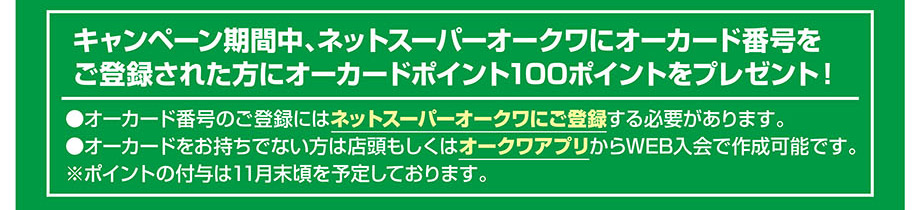 @lbgX[p[VKo^1AI[NAvЉ