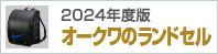 hZ