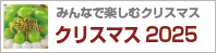 NX}X