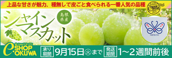 �V���C���}�X�J�b�g