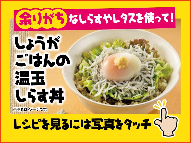 毎月更新！オークワおすすめフードロス削減＆タイパレシピ