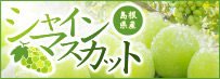 �V���C���}�X�J�b�g